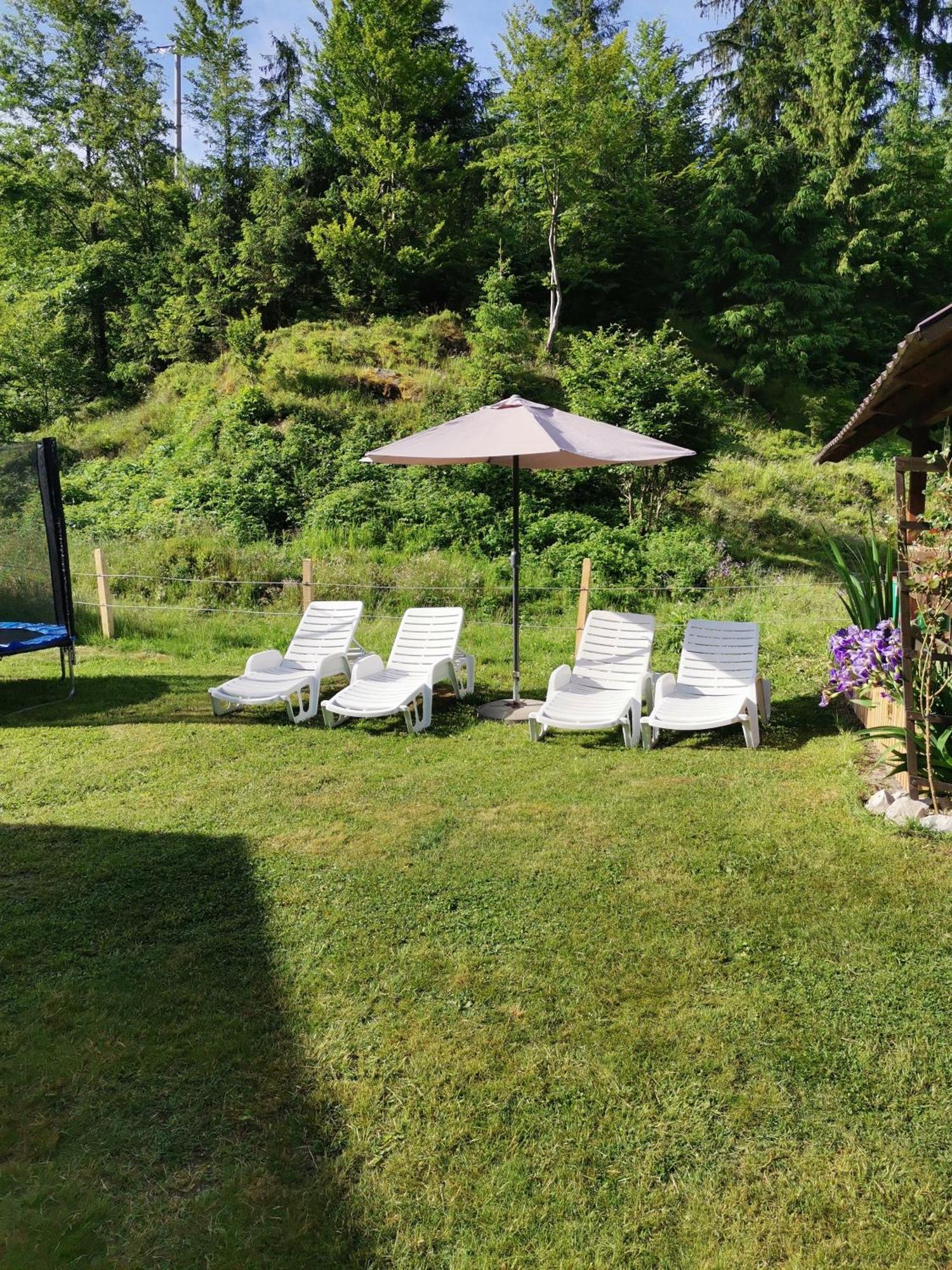 Cabana Georgiana Arieşeni Exteriér fotografie