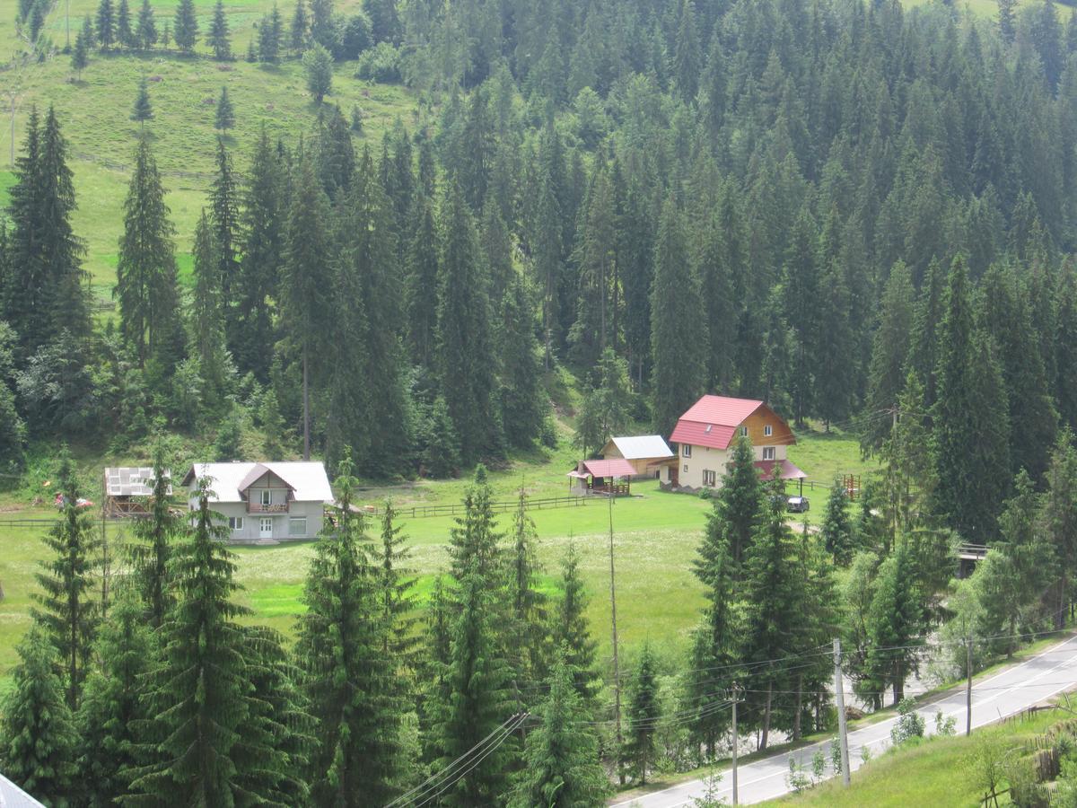 Cabana Georgiana Arieşeni Exteriér fotografie